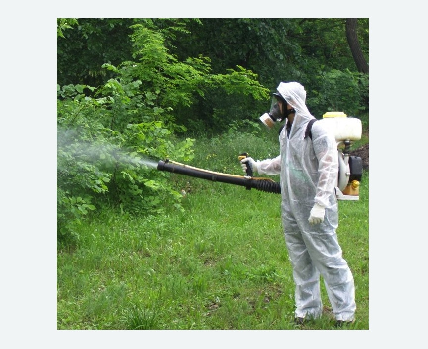 обработка территории от клещей в Копорье