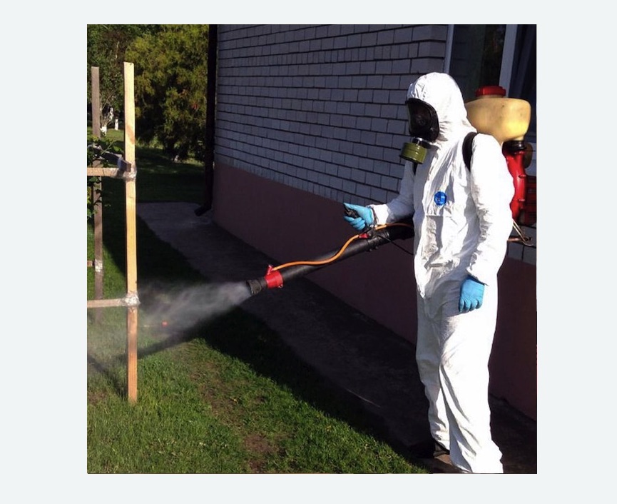 травля клещей на участке в Копорье