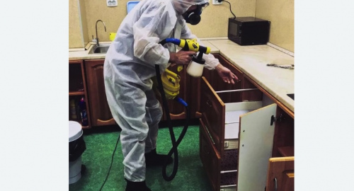 Уничтожение насекомых в квартире. Копорье