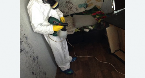 Обработка квартир от насекомых в Копорье