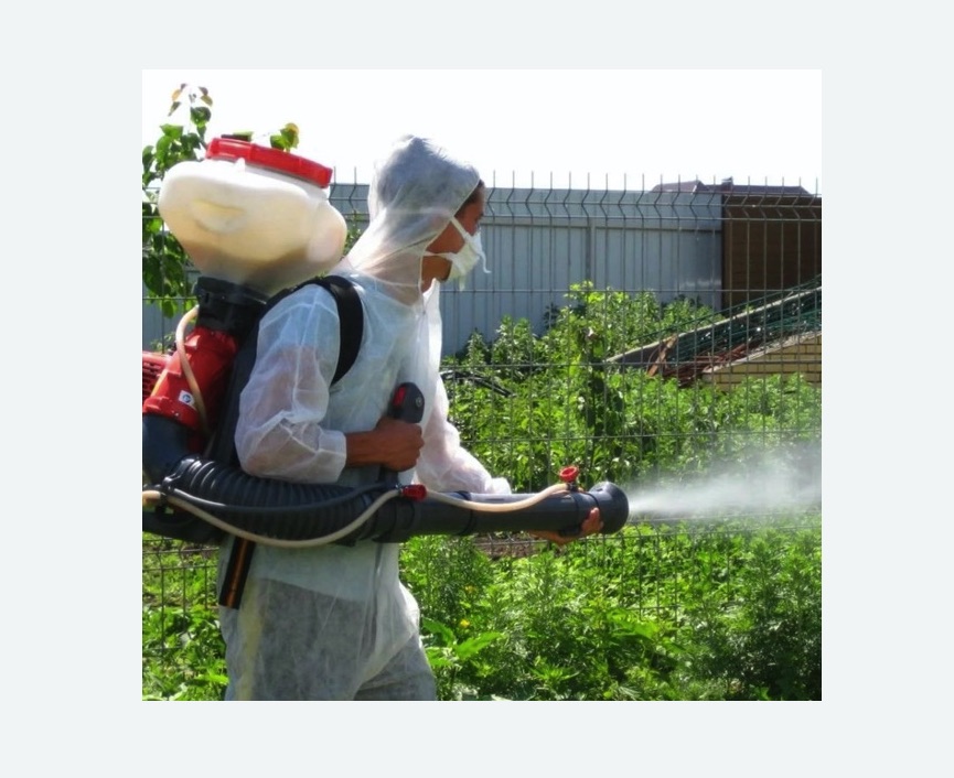 Акарицидная обработка территории в Копорье