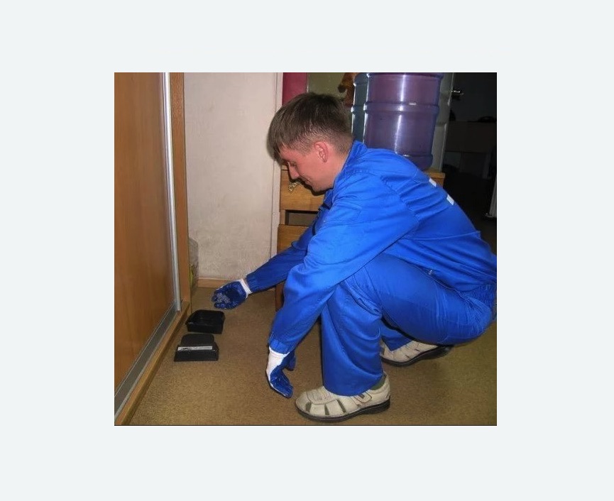 Дератизация крыс в Копорье