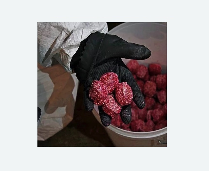 Обработка от крыс в Копорье