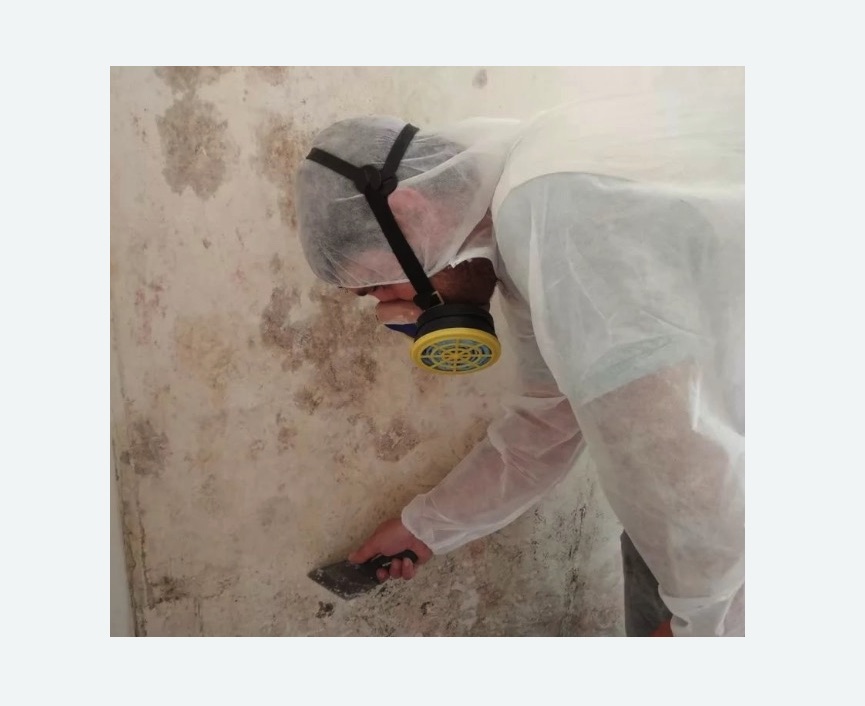 Обработка стен от плесени в Копорье