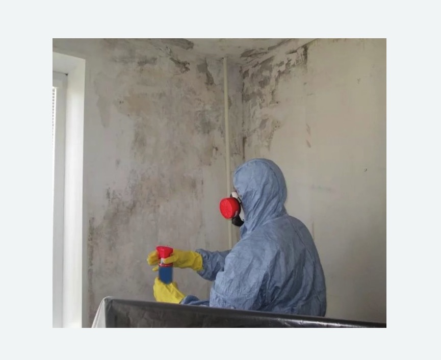 Удаление плесени в квартире в Копорье