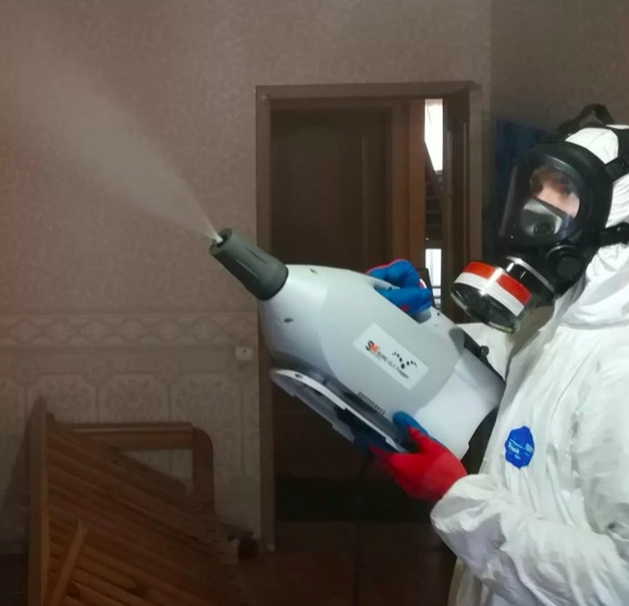 дезинсекция помещения в Копорье