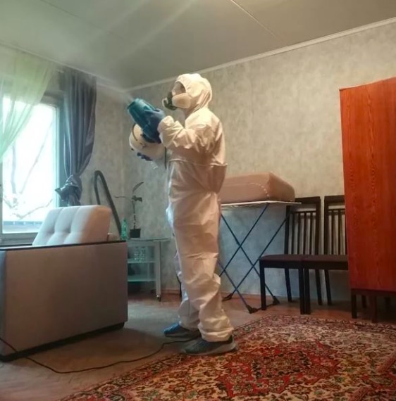 дезинсекция квартиры в Копорье