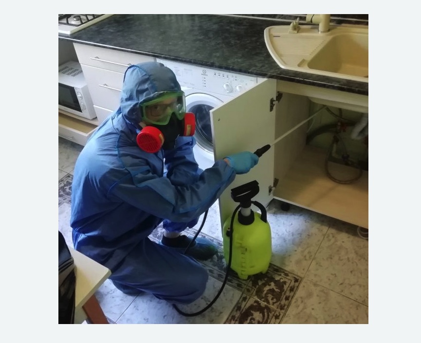 обработка от муравьев в квартире в Копорье