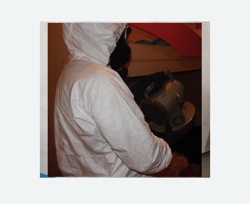 Дезинфекция от муравьев в Копорье