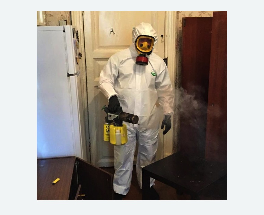 уничтожение муравьев в квартире в Копорье